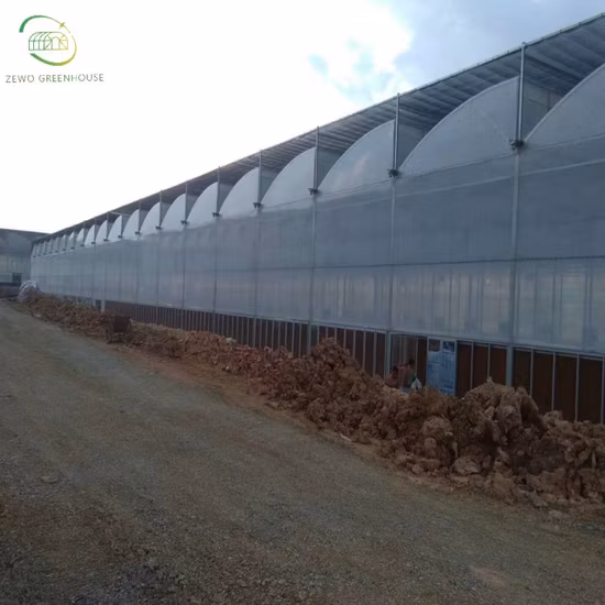 Panneau de module solaire photovoltaïque monocristallin 16bb, demi-cellule Topcon de niveau 1 à haut rendement 575W avec cellules de 182mm